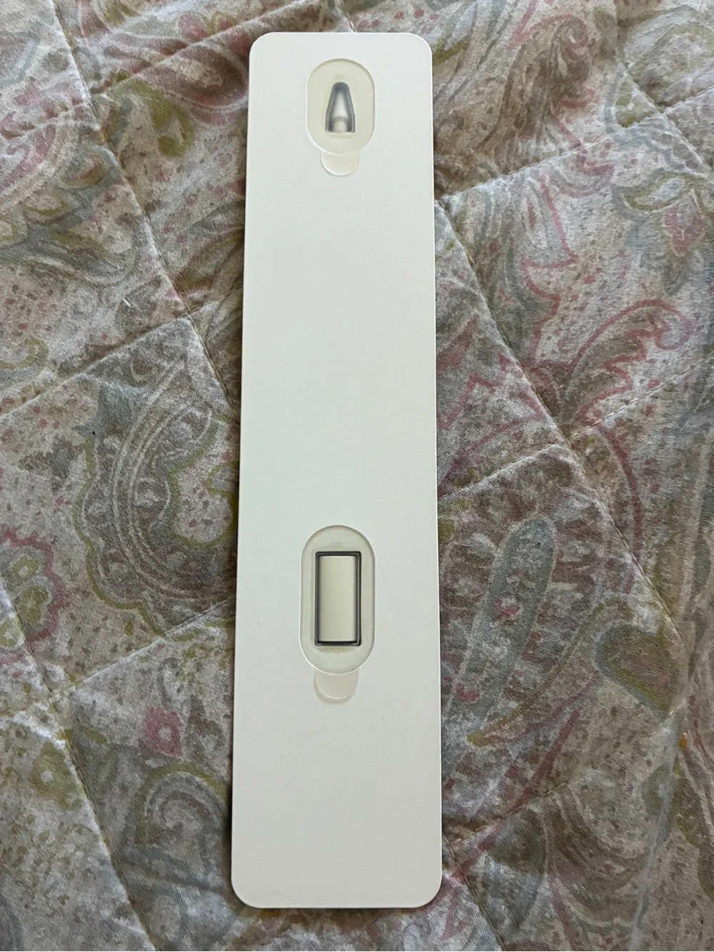 Apple Pencil Tip and Adapter